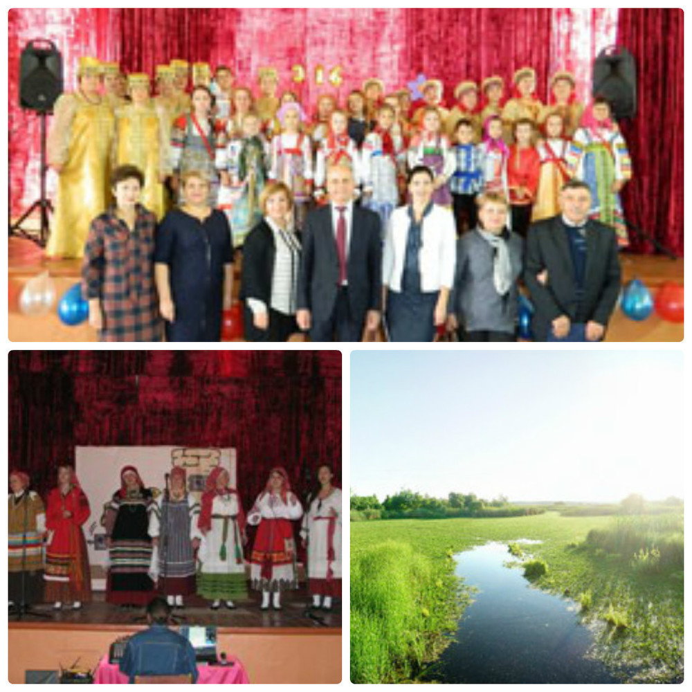 В Борисоглебском округе Богана отметила День села