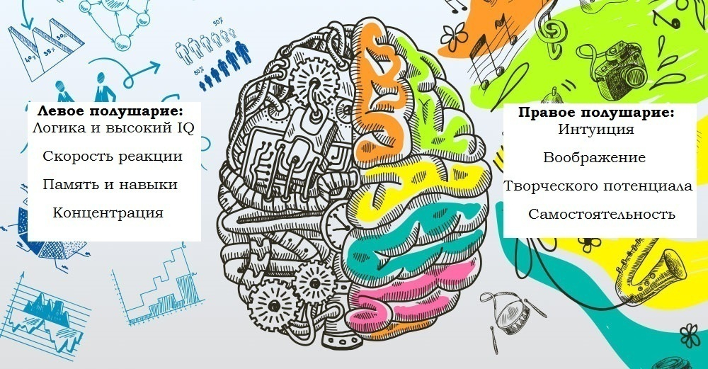 Ментальные руки. Левое и правое полушарие мозга. Головной мозг левое и правое полушарие. Два полушария мозга. За что отвечает левое полушарие мозга.