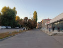 Почему спилили каштаны у кинотеатра «Победа» в Борисоглебске
