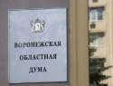 В Воронежской области запустили горячую линию для избирателей