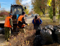 Борисоглебцам напомнили об окончании осеннего месячника по благоустройству