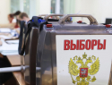 Кто выдвинулся на праймериз «Единой России» от Борисоглебского городского округа