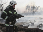 Высокий риск лесных пожаров в августе спрогнозировали в Воронежской области 