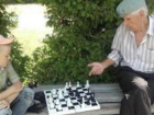 Борисоглебцев призвали повсеместно играть в шахматы