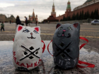 Кошка Макашка и кот Хопер из борисоглебского села попали в конкурс «Народный сувенир»