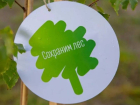 Воронежская область присоединится к осенней акции «Сохраним лес»