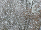 Циклон из Карелии принесёт большой  снегопад в Воронежскую область