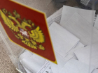 Досрочное голосование на выборах в Госдуму могут организовать в Воронежской области