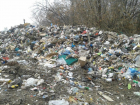 Очередную несанкционированную свалку обнаружили в Борисоглебском районе инспекторы Россельхознадзора