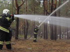 В Воронежской области готовятся к сезону лесных пожаров