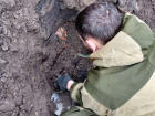 Останки бойцов Красной Армии обнаружили при строительстве дороги в Воронежской области 