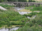 Пересохшую речку в селе Чигорак Борисоглебского района будут спасать за средства федерального бюджета