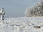 Более 50 000  квадратных километров  Воронежской области  попадут в схему охотничьих угодий