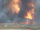 На территории Воронежской области заполыхали ландшафтные пожары