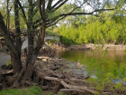 «Блокнот» получил ответ по поводу состояния реки Вороны из областного департамента экологии 