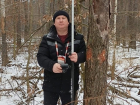  В хвойных насаждениях  Воронежской области  начались обследования по выявлению умирающих лесных  участков 