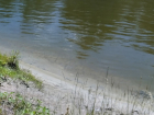 В реке Хопер у села Петровское Борисоглебского округа нашли тело пропавшего мужчины