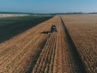 В Воронежской области собрали первый миллион тонн зерна: Борисоглебского района в  рекордсменах нет 