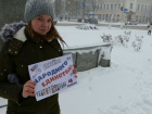 Праздник в снегопад: как молодежь Борисоглебска поздравила горожан с Днем народного единства