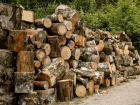  Житель Черноземья пытался утащить дрова, собранные волонтерами для бойцов СВО