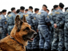 В Борисоглебске для охраны общественного порядка в День города привлекут дополнительные силы