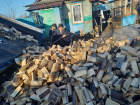 Дровами и новогодними елками помогли лесники семьям мобилизованных и многодетным в Новохоперском и Терновском районах 