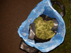 Пакет с марихуаной грозит большим сроком жителю Поворинского района 
