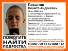 Объявлены поиски  16-летнего  подростка из Грибановского района 