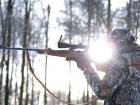  Дикая охота: в Воронежской области любители пострелять более 500 раз нарушили закон 