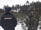 Четверых новогодних лесорубов поймали в праздники в лесах Воронежской области 