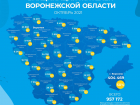 Борисоглебск в самом хвосте по уровню вакцинации от коронавируса
