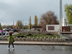 От хвойных красавиц на мемориале Борисоглебска остались одни пеньки