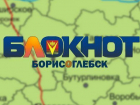 «Блокнот Борисоглебска» вошел в 20-ку самых популярных новостных сайтов Воронежской области