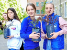 Студенты Борисоглебска посадили барбарисы в честь Дня Победы
