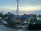 Департамент ЖКХ Воронежской области призвал сообщать о переполненных мусорках