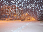 Старый Новый год принесет в Воронежскую область сильный ветер 