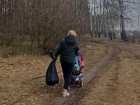 Молодая мама двоих детей в одиночку убирает лес у Юго-Восточного микрорайона г.Борисоглебска