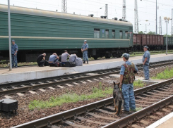 Силовики опровергли интернет-слухи о сбежавших в Поворино зэках
