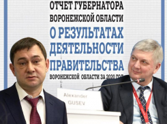Пыль в глаза или блаженное неведение: раскрываем будущий отчет губернатора Гусева перед депутатами