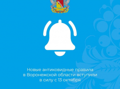 «Цирком» назвали непоследовательные решения властей  жители Воронежской области 