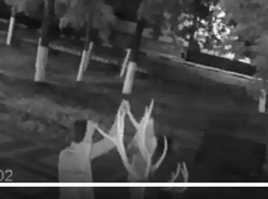 Вандал, сломавший рог оленю в центральном сквере Борисоглебска, попал на видео
