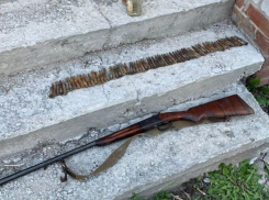 На участке жителя Воронежской области нашли 34 куста конопли и ружье с 69 патронами