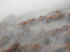 Жёлтый уровень погодной опасности ввели в Воронежской области из-за тумана