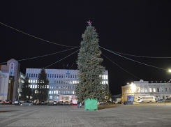 В Борисоглебске установили центральную новогоднюю елку