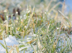 В Воронежской области ожидается потепление до +12