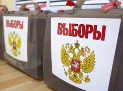 Единый день голосования стартовал в соседних районах. Депутатов избирают в Грибановском, Поворинском, Новохоперском и Терновском районах