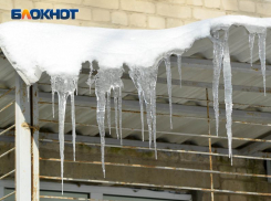 Из-за лютых морозов объявлено штормовое предупреждение в Воронежской области
