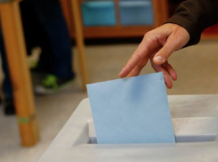 В распоряжение «Блокнот Борисоглебск» попали списки участников прошлогоднего «круизного голосования»