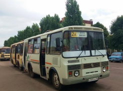 Расписание работы маршруток в майские праздники в Борисоглебске опубликовала администрация округа