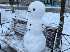 Бесснежной зимой в Театральном парке Борисоглебска появился первый снеговик